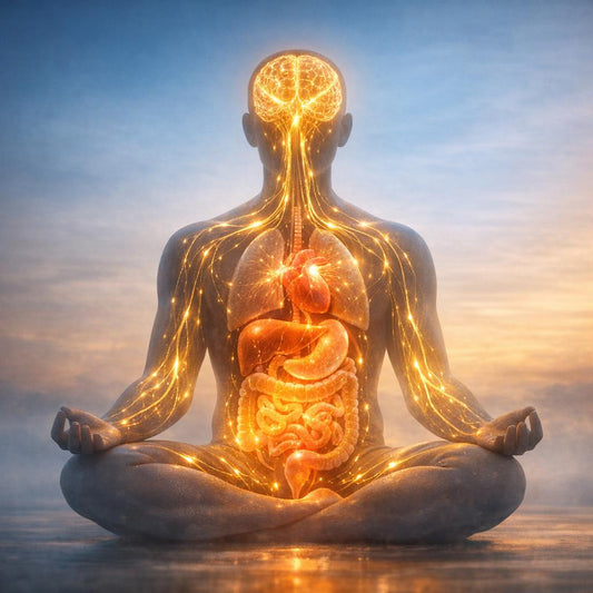 The Mind-Body Connection: How Thoughts Influence Health and Healing